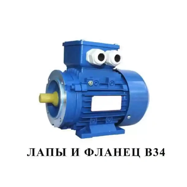Электродвигатель АИР 200 L6 (30 кВт 1000 об/мин)